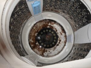 洗濯機は分解して掃除できる 簡単に分解 掃除できる方法をご紹介 洗濯機は分解して掃除できる 簡単に分解 掃除できる方法をご紹介 工具男子新聞