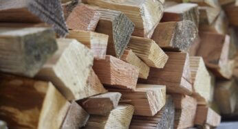 薪の種類は大きく分けて2種類！針葉樹・広葉樹それぞれの特徴を解説！